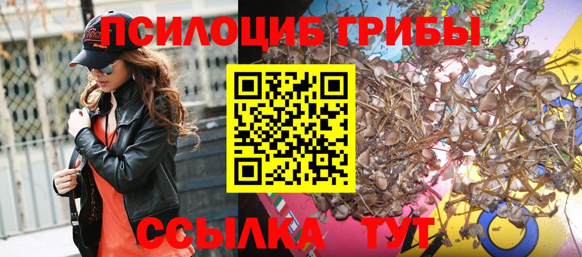 Ковров  Галлюциногенные грибы MAGIC MUSHROOMS  Вход с VPN  Псилоцибиновые грибы мухоморы 