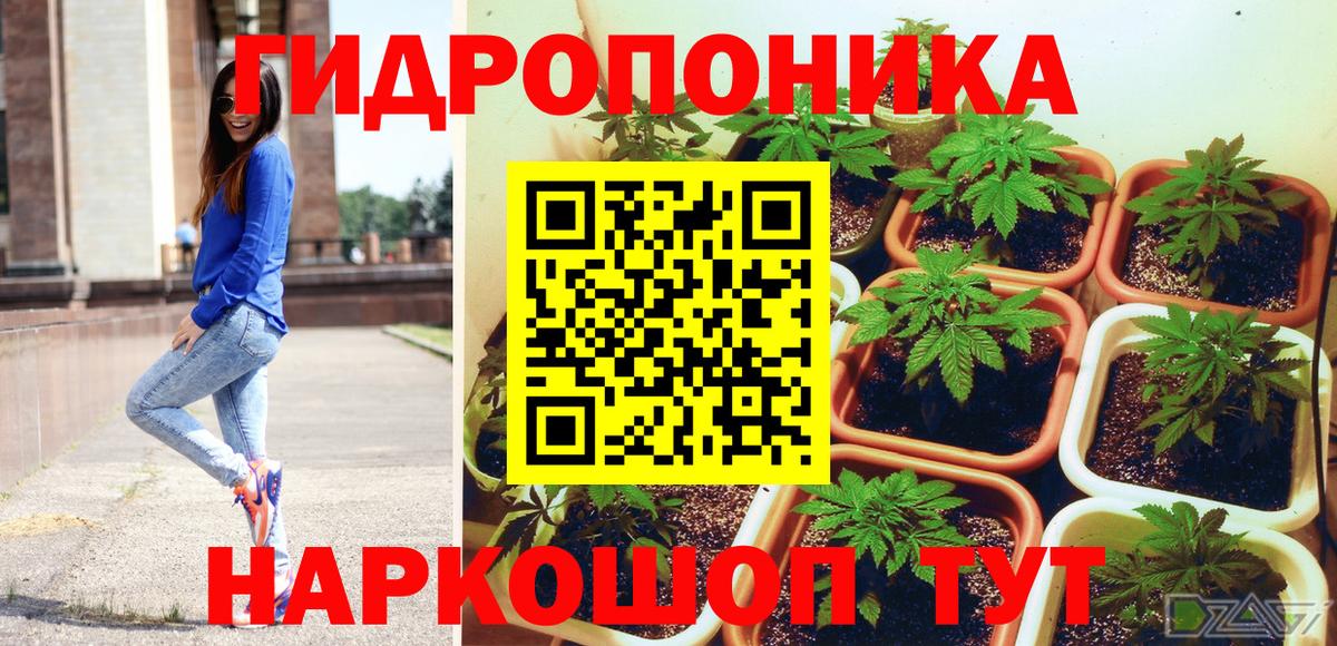 Бошки марихуана индика  МАРИХУАНА гибрид  Вход с VPN  Каннабис тримм  Ковров  Бошки Шишки White Widow 
